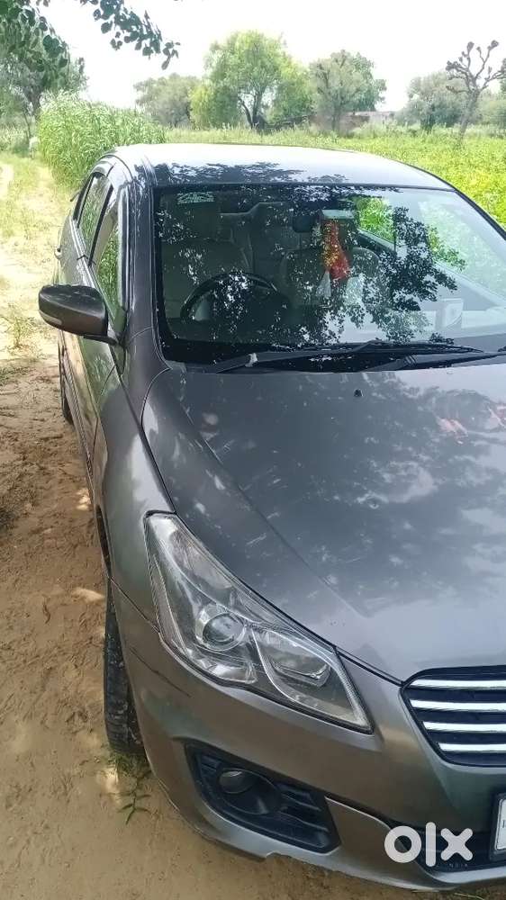 Maruti Suzuki Ciaz 2016 Diesel Car