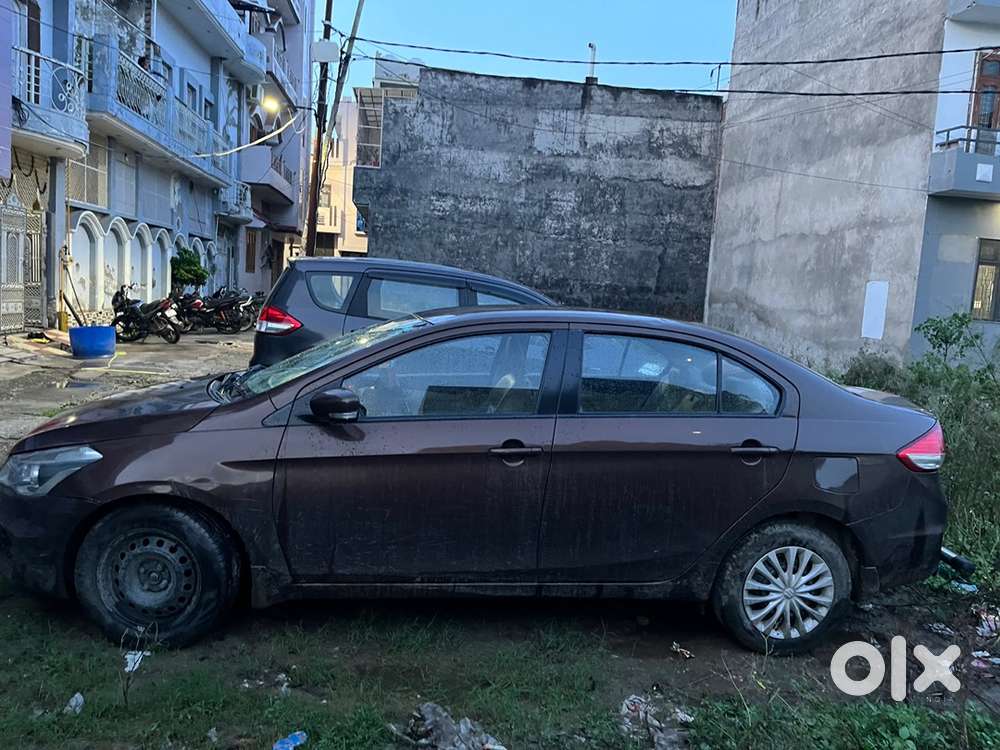 2015 Maruti Suzuki Diesel