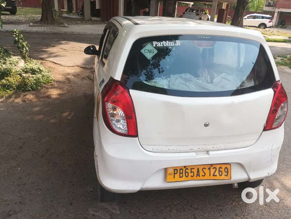 Alto 800 Company Cng