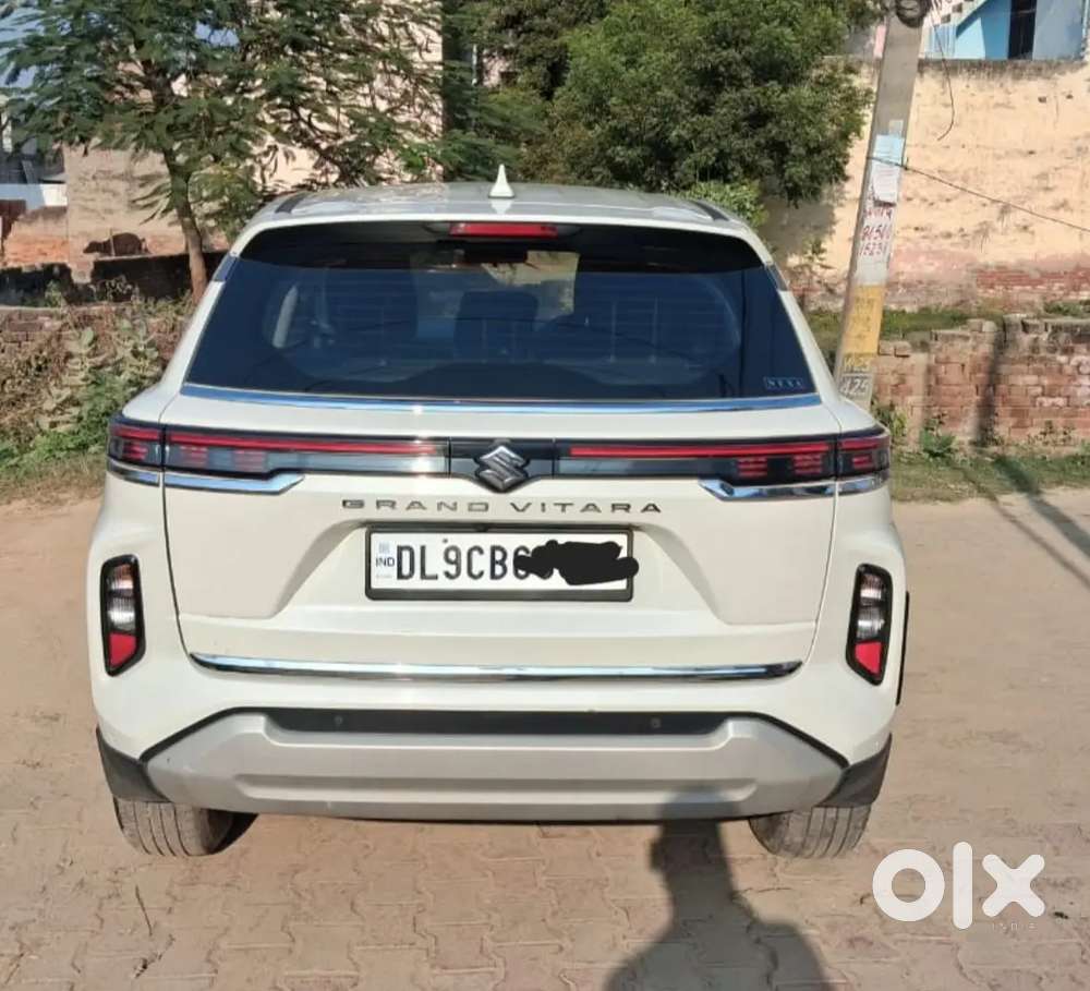 Maruti Grand Vitara Delta Company Cng