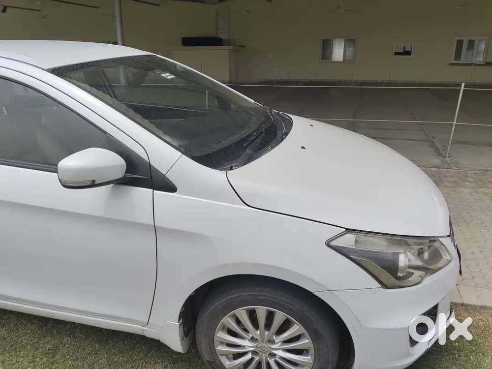 Maruti Suzuki Ciaz Zdi 2015 Diesel