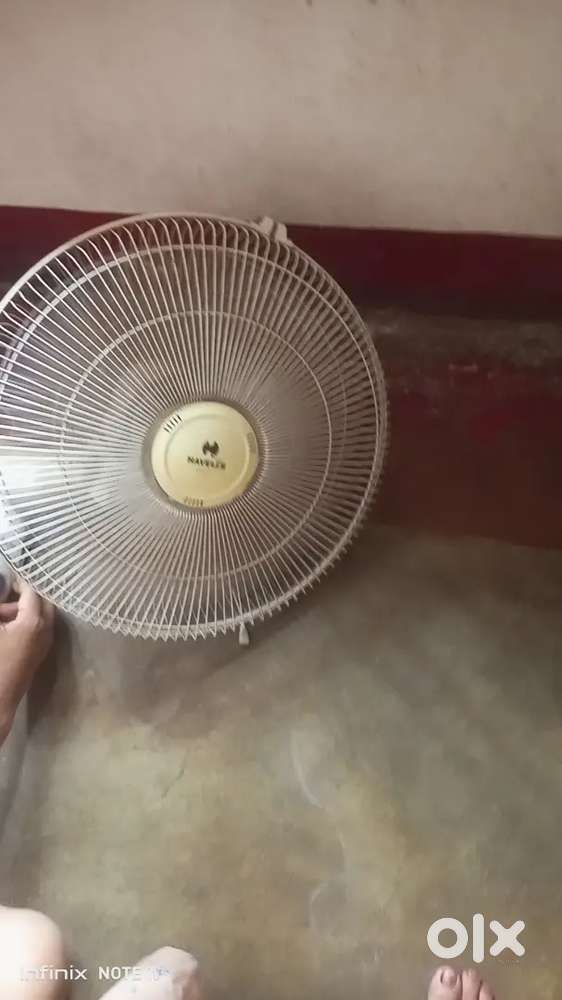 Wall Fan for office and home use