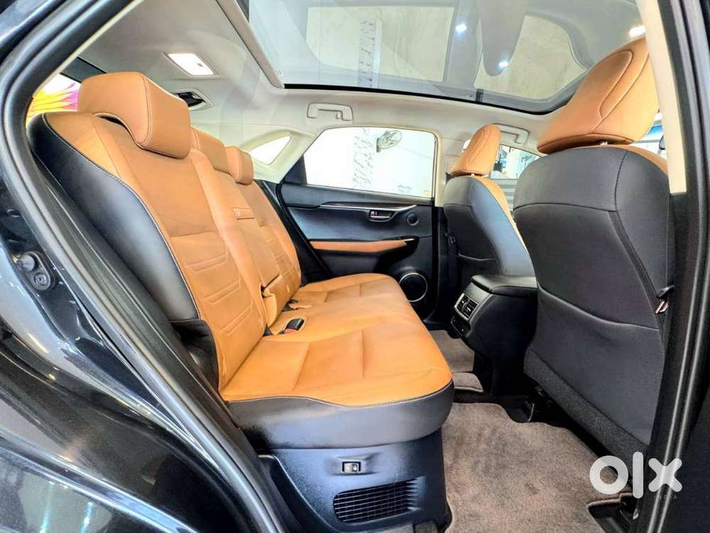 Lexus Nx Lexus-nx-300h-luxury, 2018, Petrol