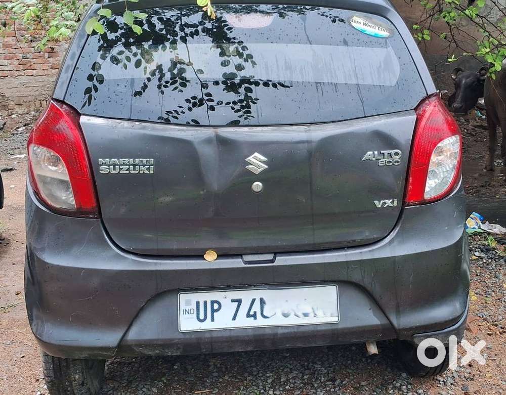 Alto 800 Vxi Model