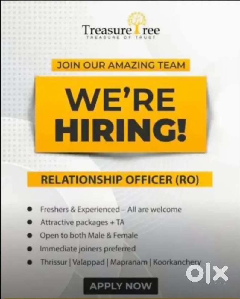 Collection executive