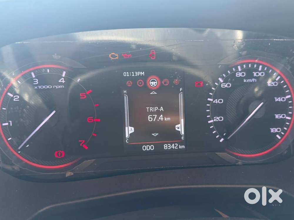 Thar Earth Limited Edition