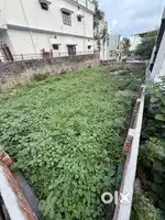 Plot for sale at reasonable price