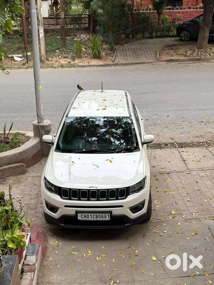 Doctor Driven Immaculate Under Warranty 41500 Kms  Company Record