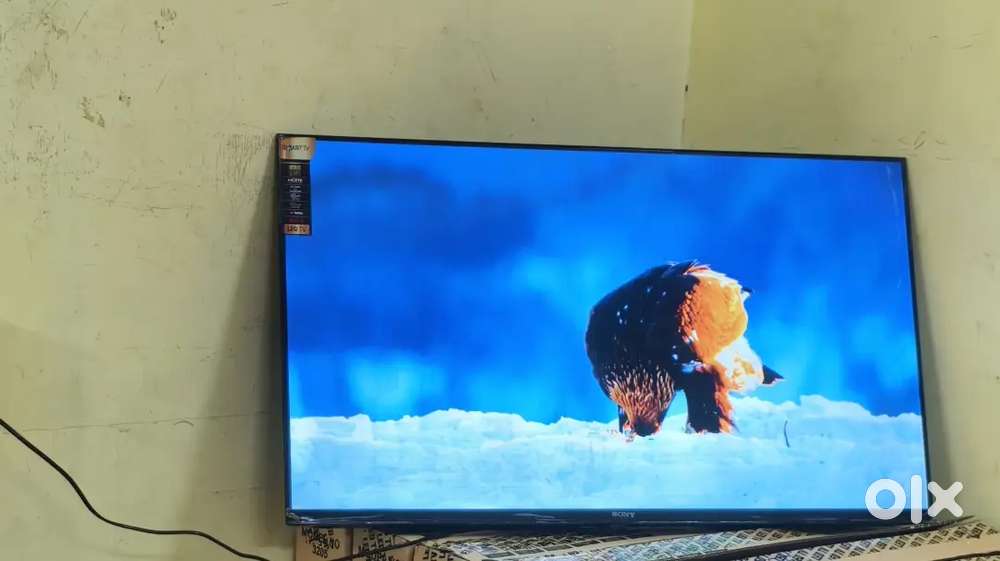 24 inch sony normal full hd led tv price 4999