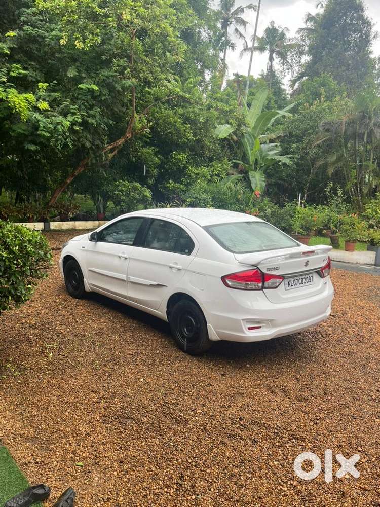 Maruti Suzuki Ciaz 2015 Diesel Good Condition