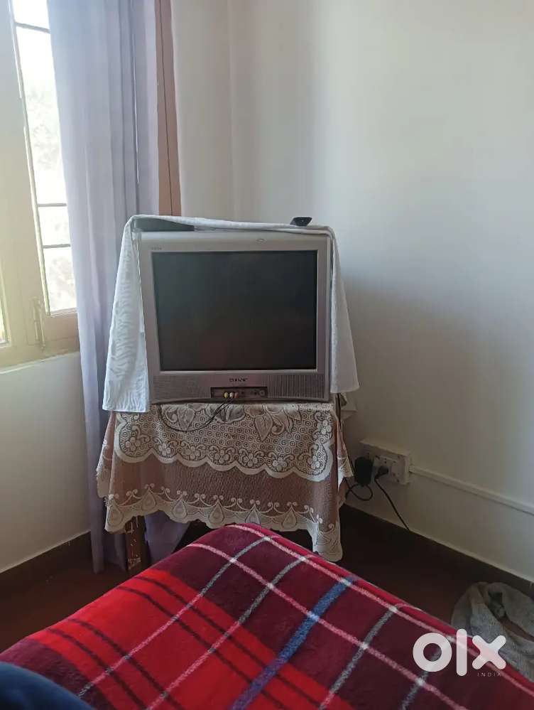 Room for rent For Rent Houses & Apartments 1727588630