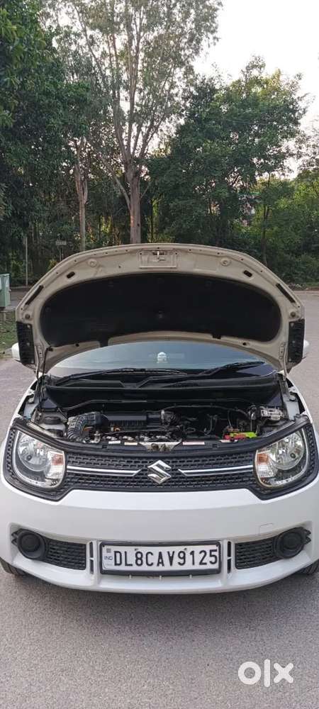 Maruti Suzuki Ignis 1.2 Delta Amt, 2018, Petrol