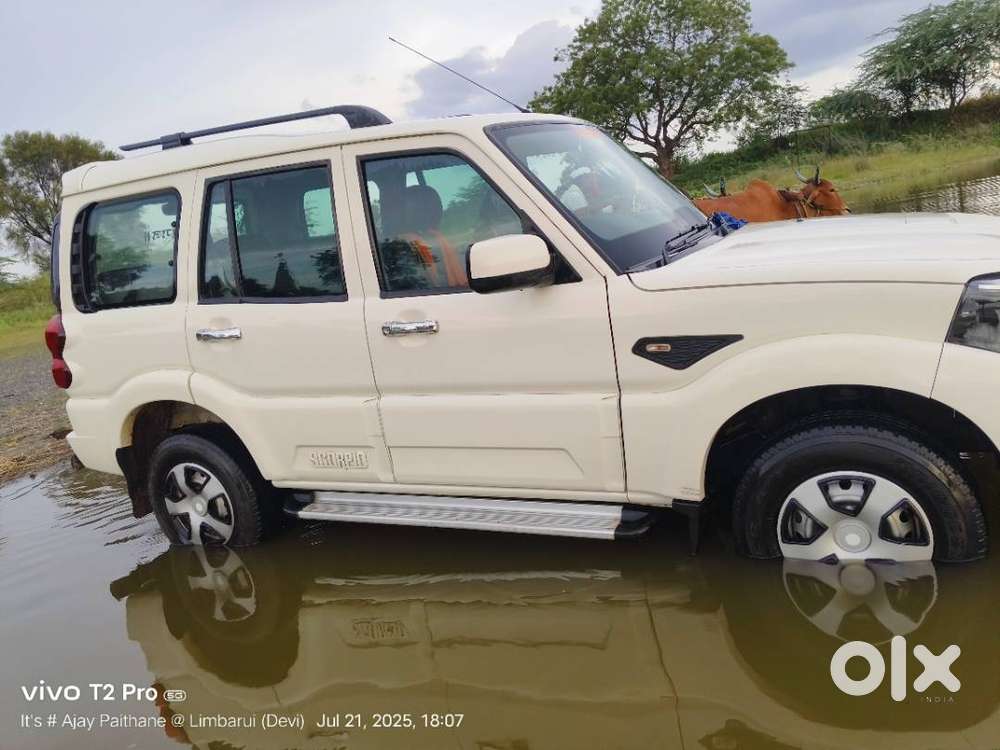 Family Car