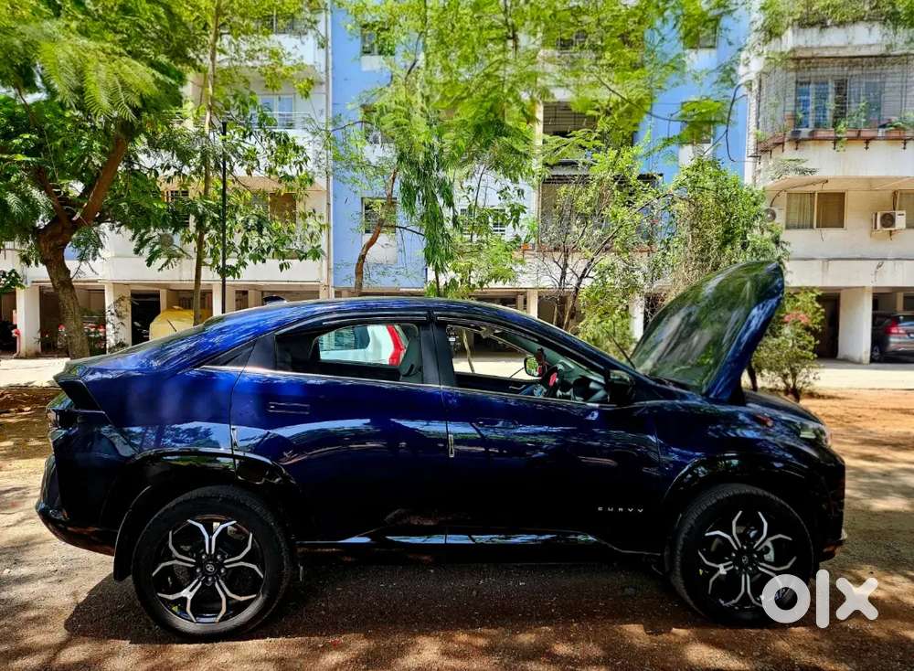Tata Curvv 2025 Petrol 6000 Km Driven