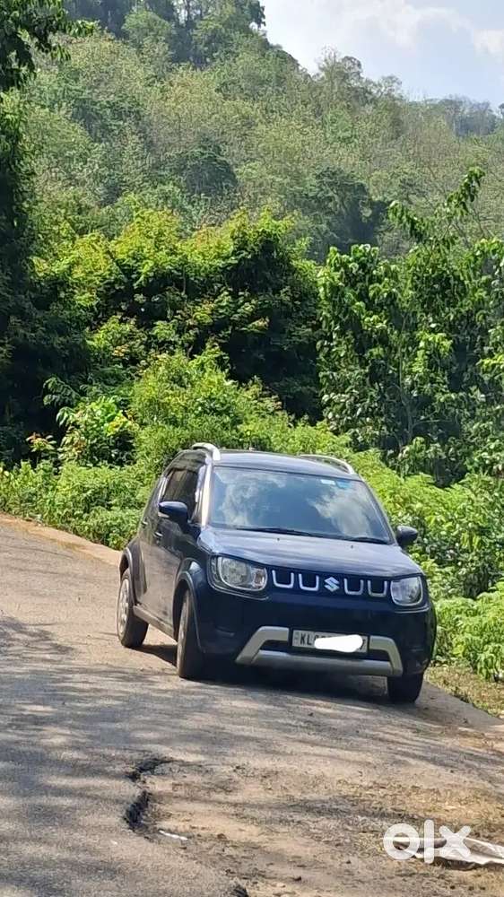 Maruti Suzuki Ignis 2024 Petrol 11000 Km Driven