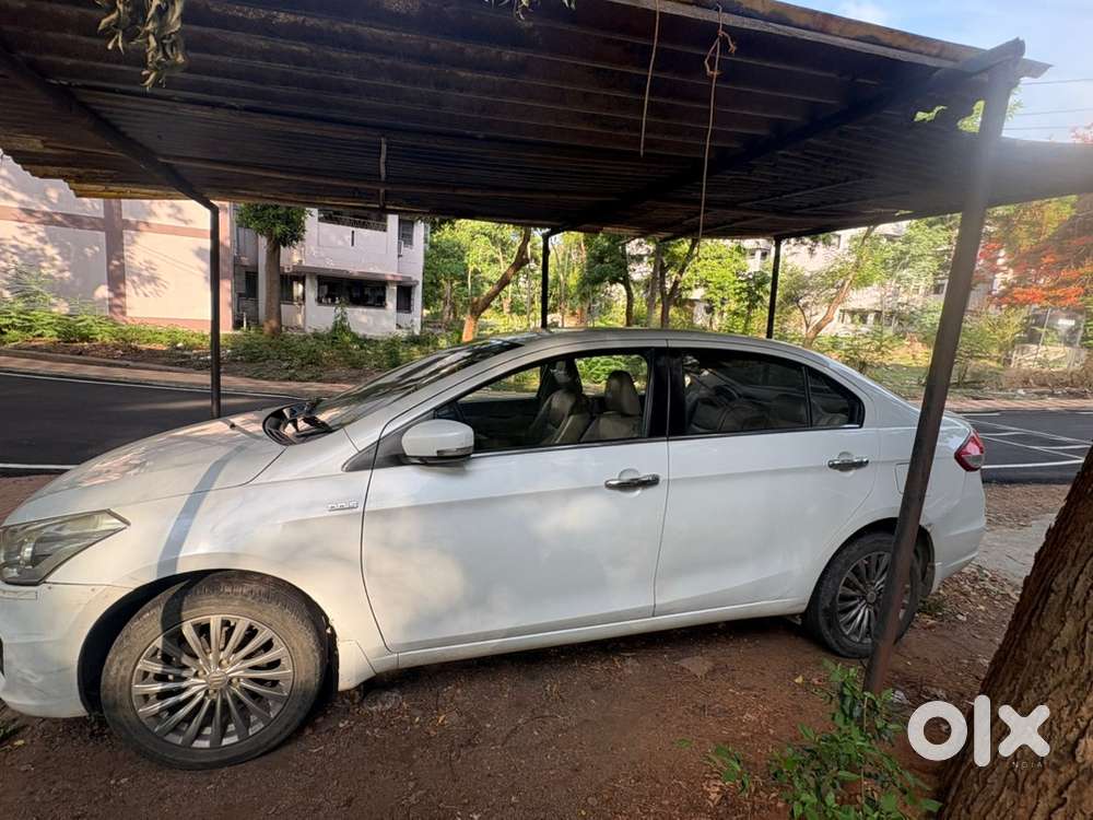 Ciaz Zdi Plus 2016