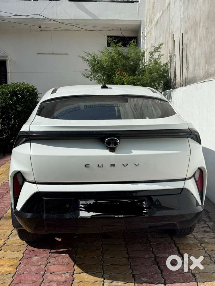 Tata Curvv 2024 Petrol Well Maintained