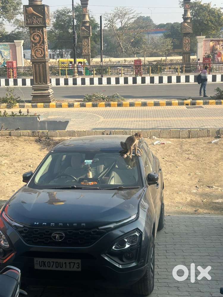 Tata Harrier Diesel Well Maintained