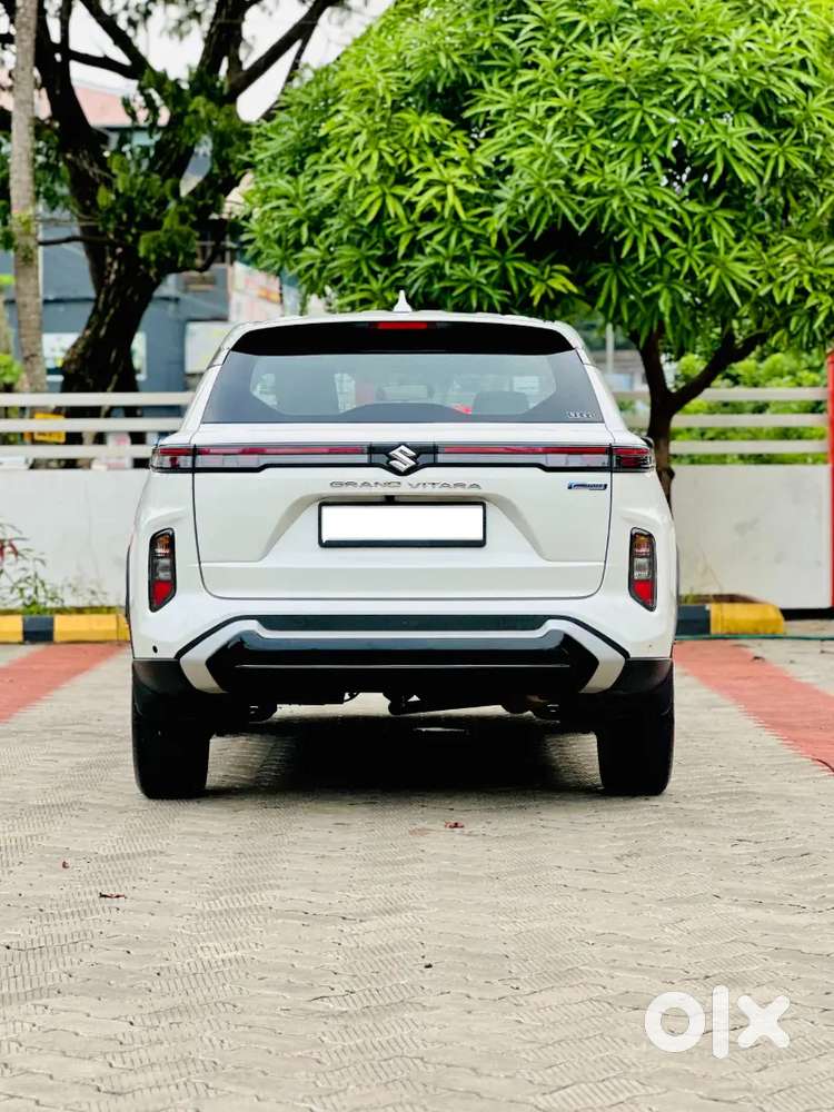 Maruti Suzuki Grand Vitara Delta Smart Hybrid