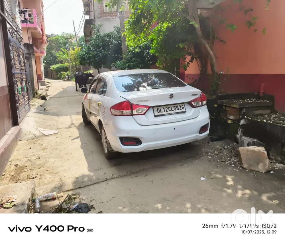 Maruti Suzuki Ciaz 2017 Diesel Car