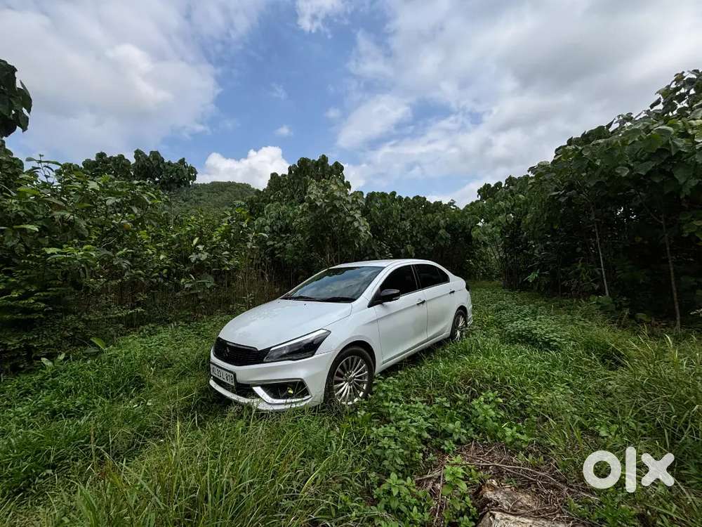 Maruti Suzuki Ciaz Diesel 2015