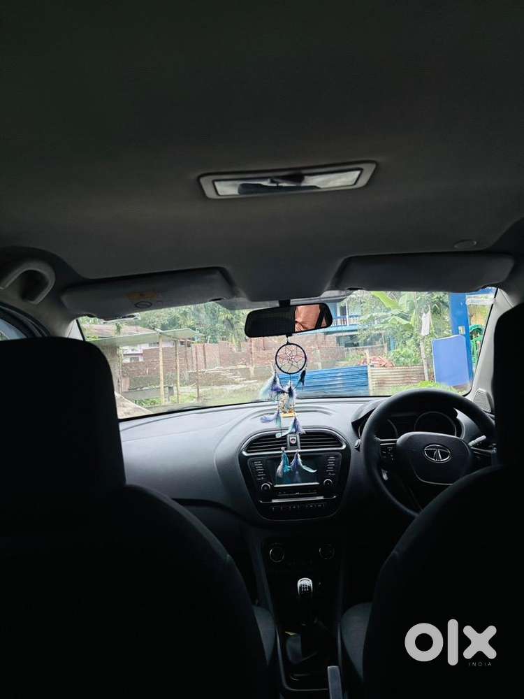 Tata Petrol Car 2017
