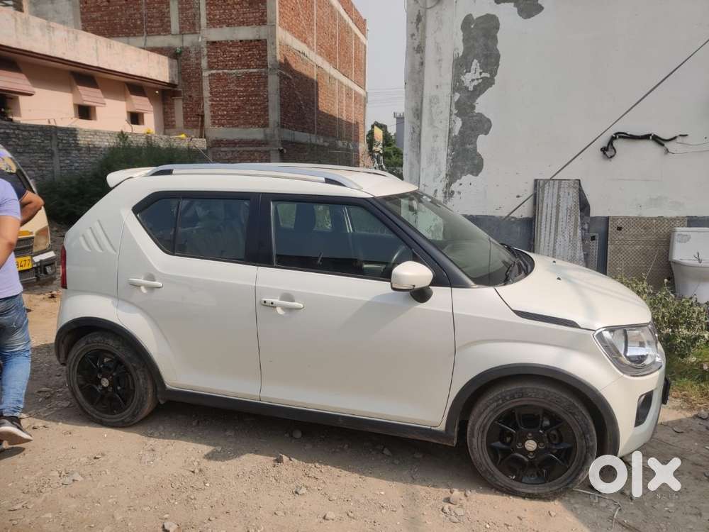 Maruti Suzuki Ignis 2023 Petrol Well Maintained