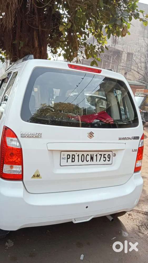 Maruti Suzuki Wagon R Flex Fuel 2009