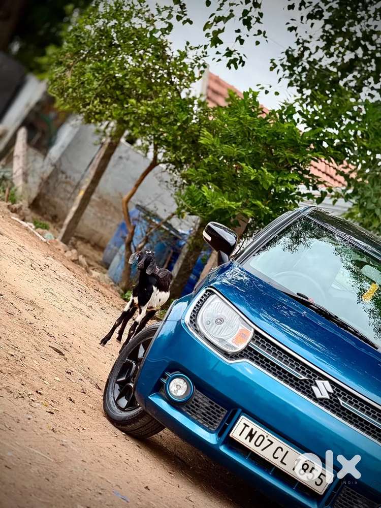 Maruti Suzuki Ignis 1.2 Alpha Amt Dual Tone, 2017, Petrol