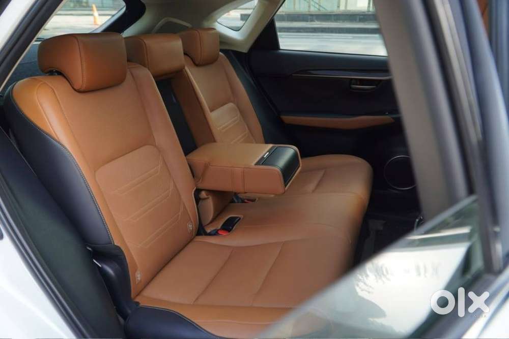 Lexus Nx Lexus-nx-300h-luxury, 2021, Petrol
