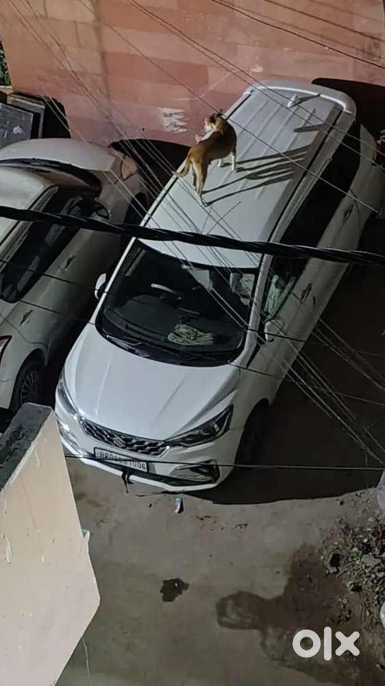Maruti Suzuki Ertiga Modal 08/09/2022