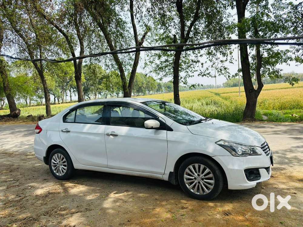 Maruti Suzuki Ciaz 2015 Diesel Well Maintained