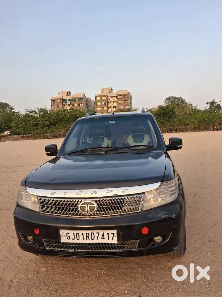 Safari Storme