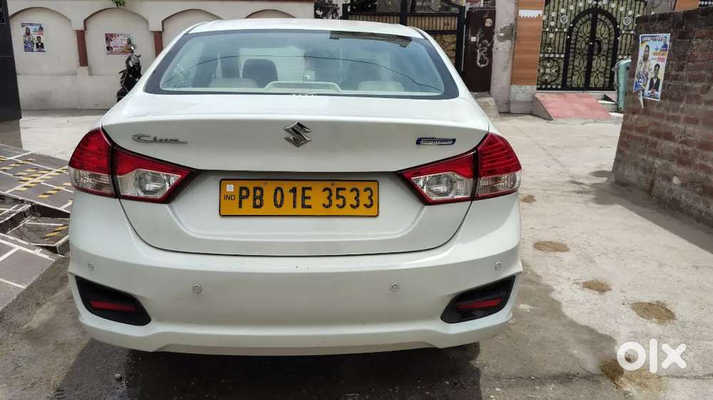 Maruti Suzuki Ciaz Sigma 2024 Manual Petrol
