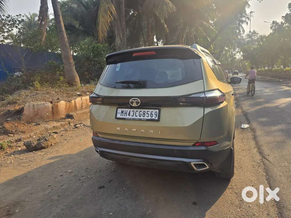 Showroom Condition Safari Limited Edition Top Model