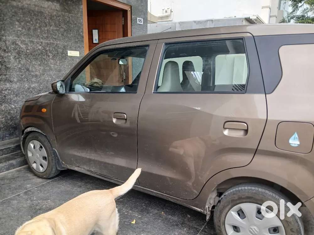 Maruti Suzuki Wagon R 2024 Petrol 13000 Km Driven