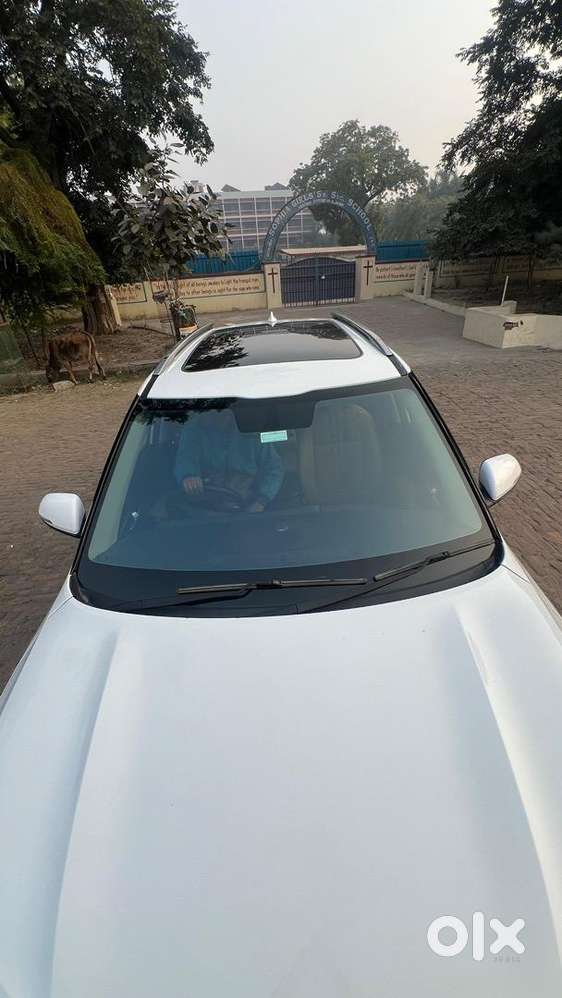 Kia Seltos 2024 Diesel Well Maintained