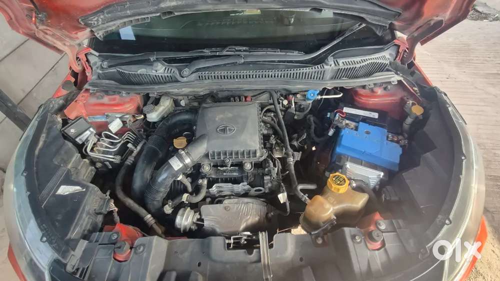 Tata Nexon Cng Feeting 2020 Petrol 119000 Km Driven