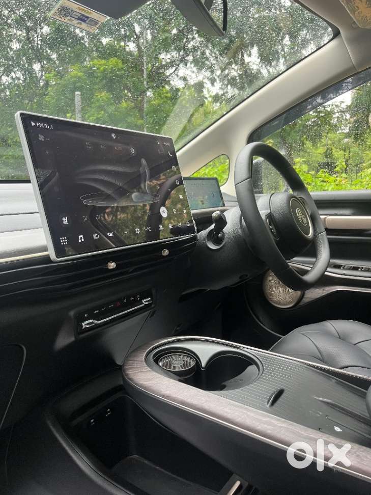 Mg Windsor Ev Essence, 2024, Electric