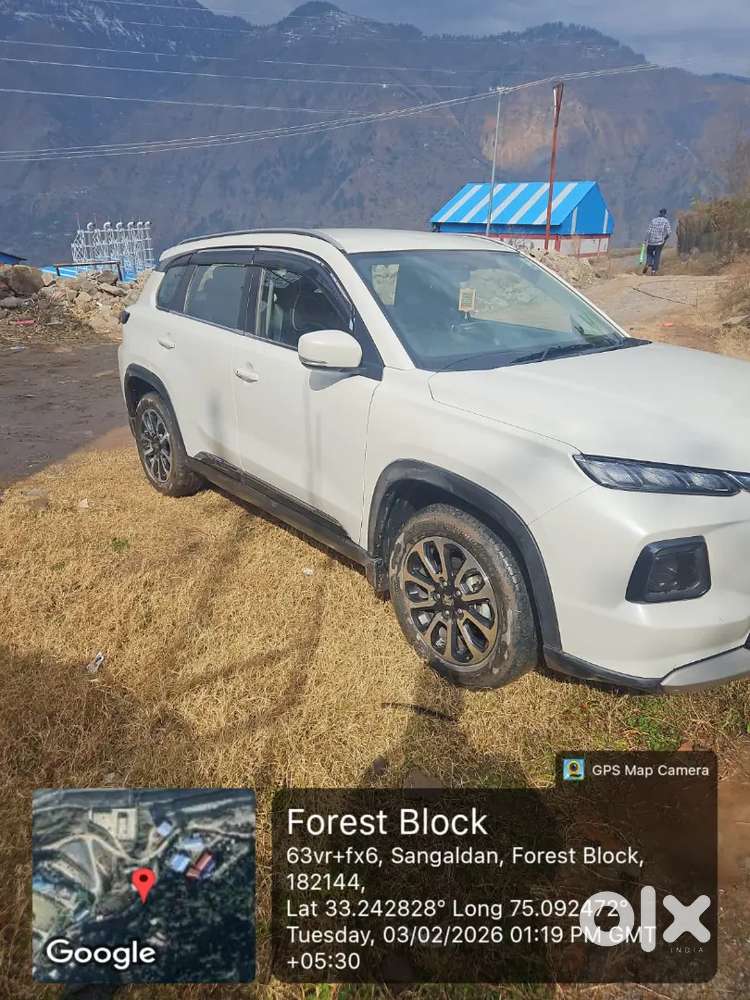 Maruti Suzuki Grand Vitara 2025 Petrol 9901 Km Driven