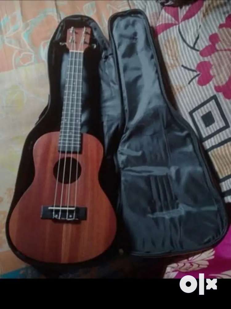 Ukulele olx sales