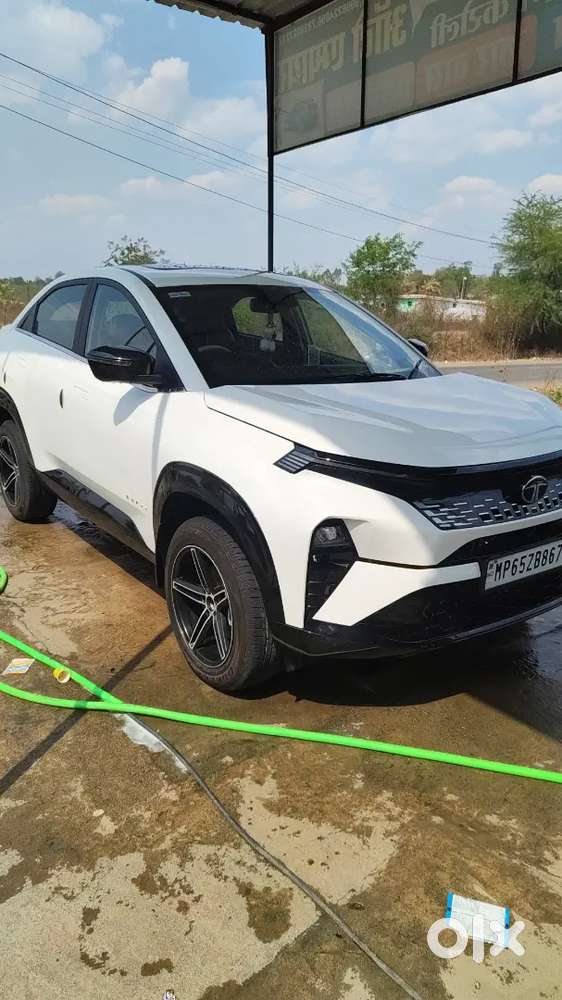 Tata Curvv 2024 Petrol Well Maintained