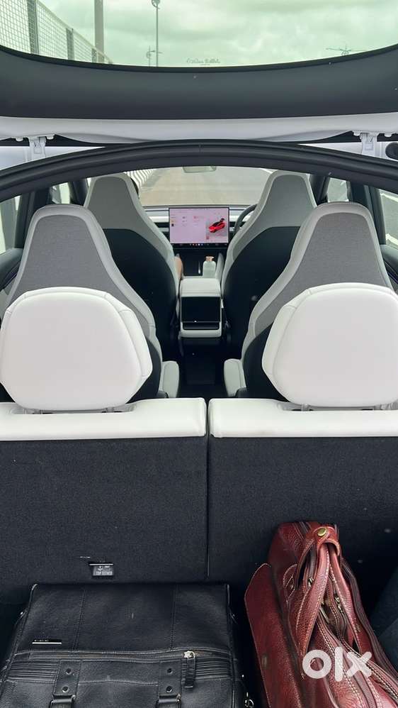 Tesla Model Y 2029 Electric