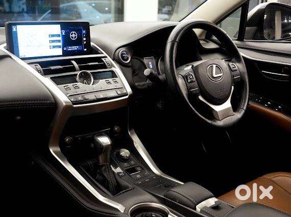 Lexus Nx Lexus-nx-300h-luxury, 2020, Petrol
