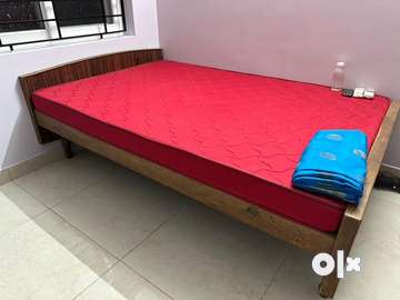 Single cot olx online