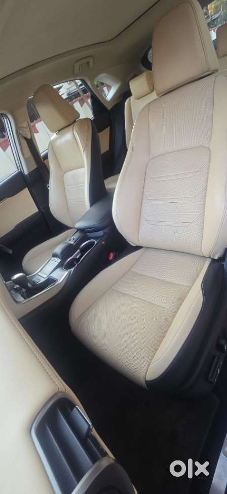 Lexus Nx Lexus-nx-300h-luxury, 2019, Petrol