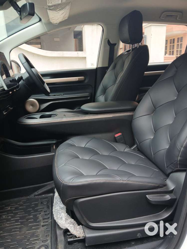 Mg Windsor Ev Exclusive, 2020, Electric