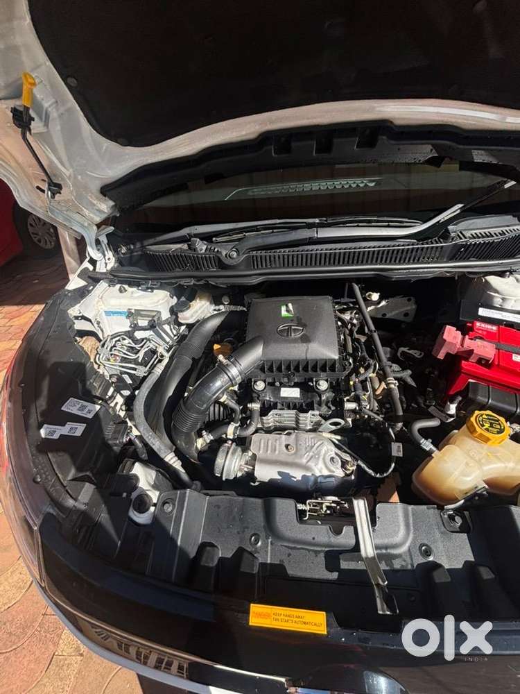 Tata Car 2025 For Sale