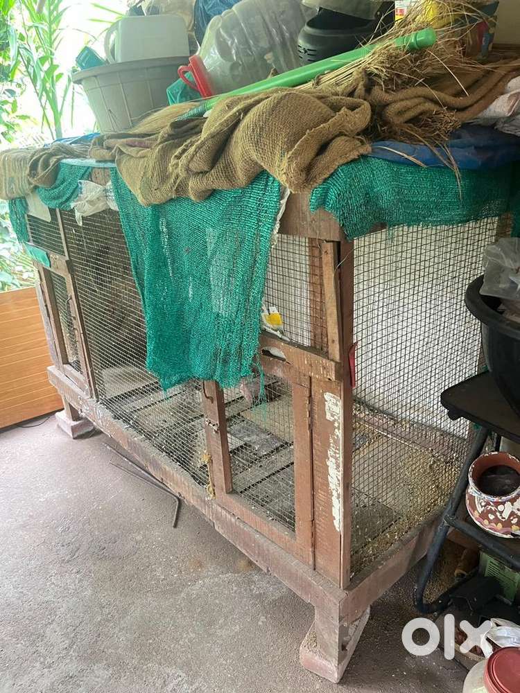 Pet cage,suitable for chicken and birds for sale Pet Food