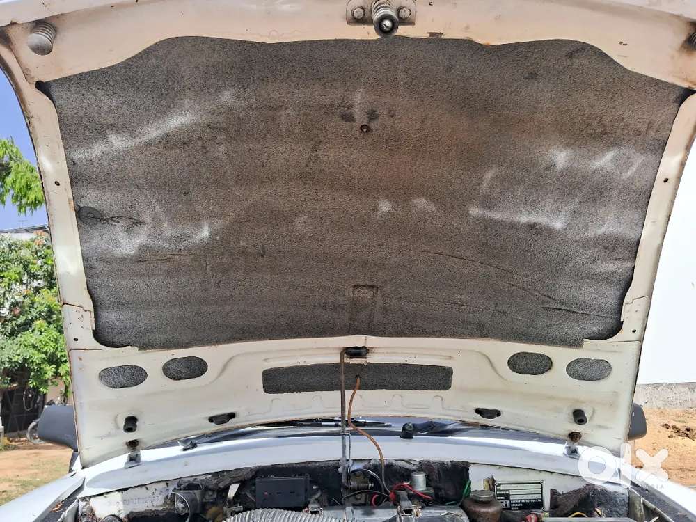 Ambassador 2013 Modal  Ac